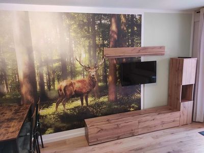 Ferienwohnung für 4 Personen (45 m²) in Herzberg (Harz) 7/10