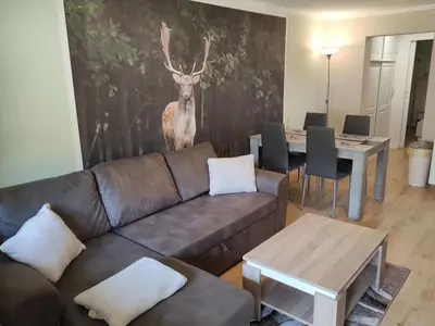 Ferienwohnung für 4 Personen (45 m²) in Sieber 5/10