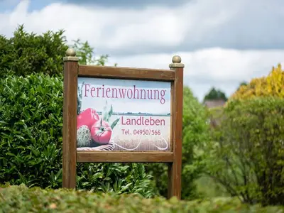 Ferienwohnung für 4 Personen (58 m²) in Hesel 6/10