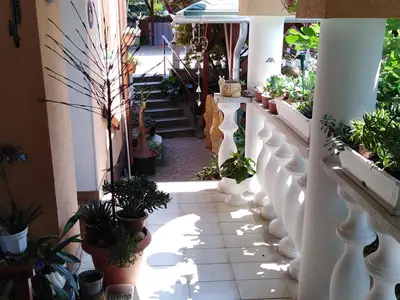 Ferienwohnung für 2 Personen (34 m²) in Hévíz 10/10