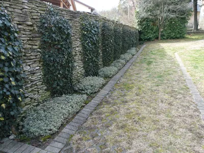 Ferienwohnung für 2 Personen (30 m²) in Hévíz 9/10