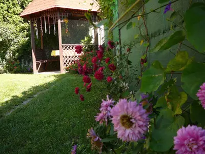 Ferienwohnung für 2 Personen (70 m²) in Hévíz 2/10