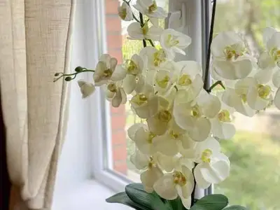 Ferienwohnung für 3 Personen (40 m²) in Hévíz 7/10