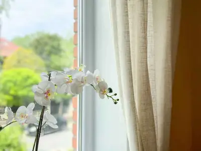 Ferienwohnung für 3 Personen (35 m²) in Hévíz 10/10