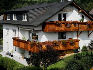 Ferienwohnung für 4 Personen (55 m²) in Hilders