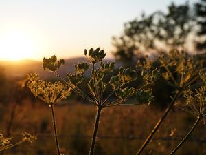 Stimmungsvoller Sonnenuntergang im Ulstertal