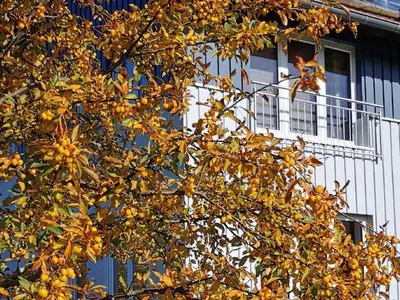 Ferienwohnung für 2 Personen (35 m²) in Hilders 4/10