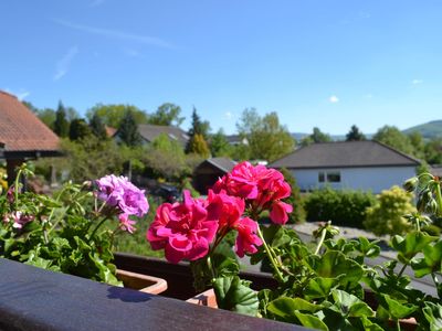 Ausblick aus dem Fenster. Aussicht Balkon Fewo 50 m²