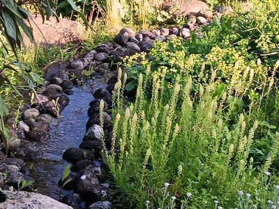 Bachlauf im Garten