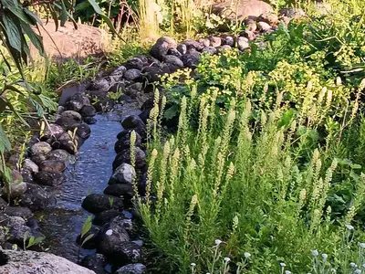 Bachlauf im Garten