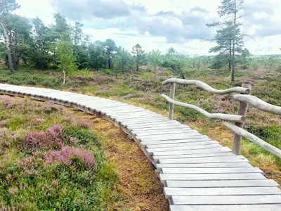 Rotes Moor