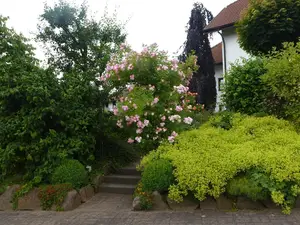 Ferienwohnung für 4 Personen (105 m²) in Hilders