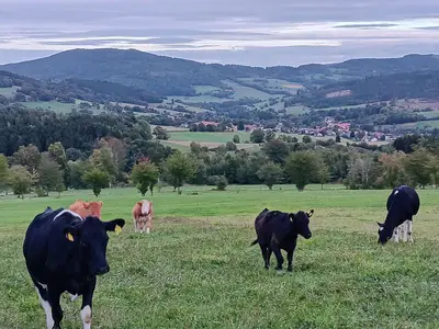 Blick auf Eckweisbach