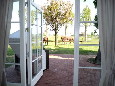 Blick auf die Terrasse