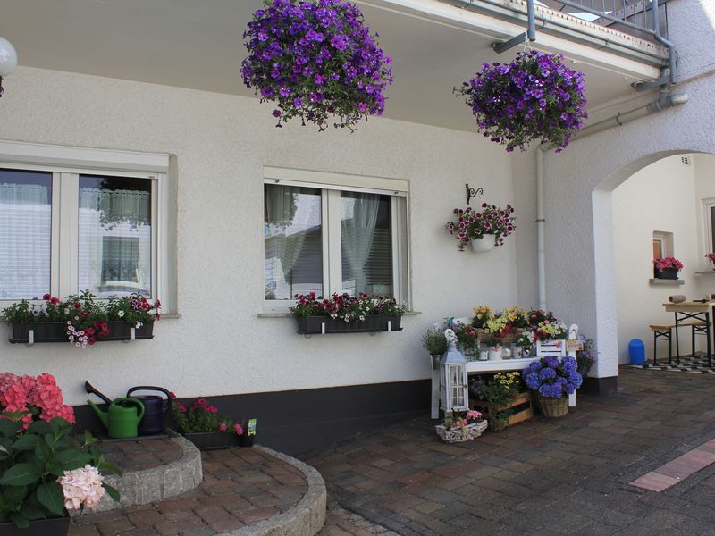 22664759-Ferienwohnung-6-Hillscheid-800x600-0