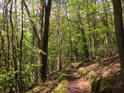 Wandern, Moutainbike