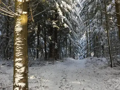 Wandern..