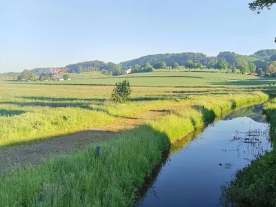 Uphöfener Berg