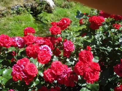 Ferienwohnung für 8 Personen (95 m²) in Hiltpoltstein 6/10