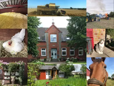 Ferienwohnung für 5 Personen (63 m²) in Fehmarn / Hinrichsdorf 1/10