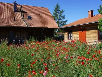 Ferienwohnung für 2 Personen (26 m²) in Hinrichshagen 4/10