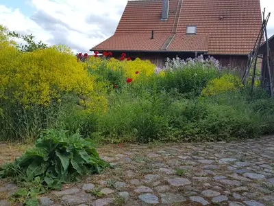 Ferienwohnung für 2 Personen (26 m²) in Hinrichshagen 7/10