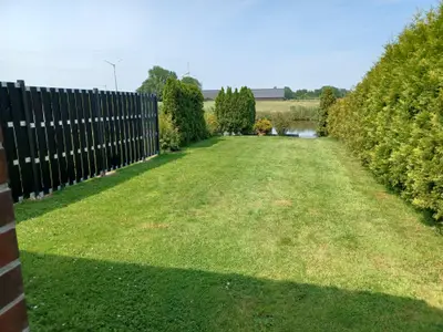 Grünfläche