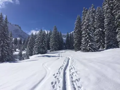 Ferienwohnung für 4 Personen (58 m²) in Hinterbichl 7/8