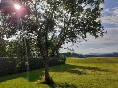 Ausblick