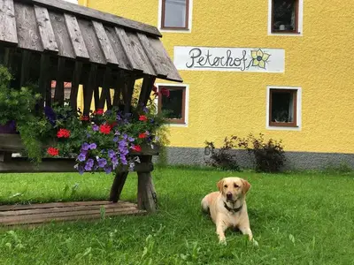 Ferienwohnung für 5 Personen (70 m²) in Hinterstoder 1/10
