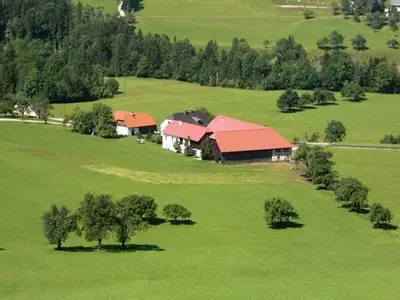 Ferienwohnung für 5 Personen (70 m²) in Hinterstoder 2/10