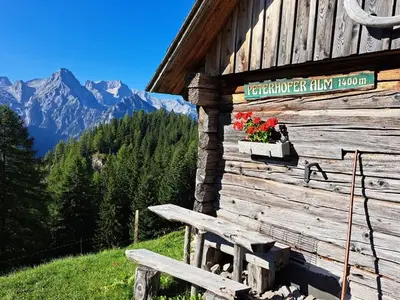Ferienwohnung für 5 Personen (70 m²) in Hinterstoder 4/10