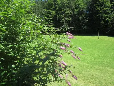 Ferienwohnung für 4 Personen (55 m²) in Hinterstoder 10/10