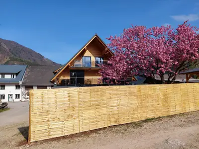 Frühling bei uns
