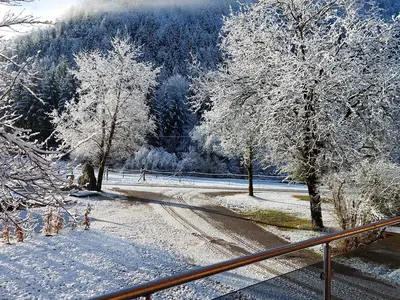 Terrassen-Blick auf den Steyrsberg