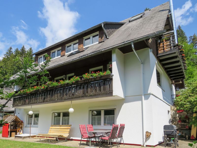 23846157-Ferienwohnung-4-Hinterzarten-800x600-0