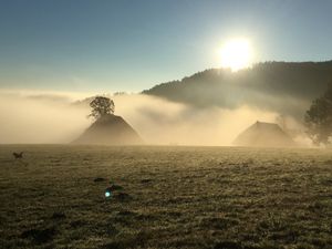 Der Urbanshof imm Nebel