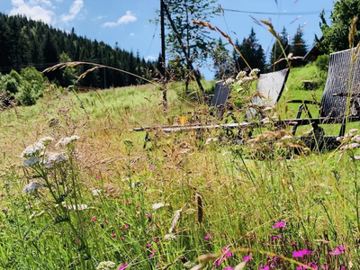 Sonnenliegen im großen Garten