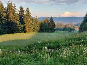 19067803-Ferienwohnung-6-Hinterzarten-300x225-4