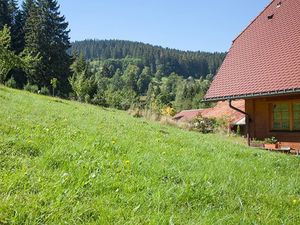 20088631-Ferienwohnung-4-Hinterzarten-300x225-4