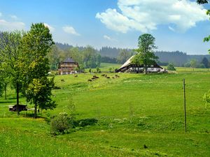 Ferienwohnung für 3 Personen (50 m&sup2;) in Hinterzarten