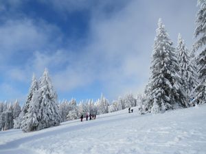 23846157-Ferienwohnung-4-Hinterzarten-300x225-5