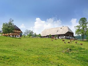 19004023-Ferienwohnung-3-Hinterzarten-300x225-1