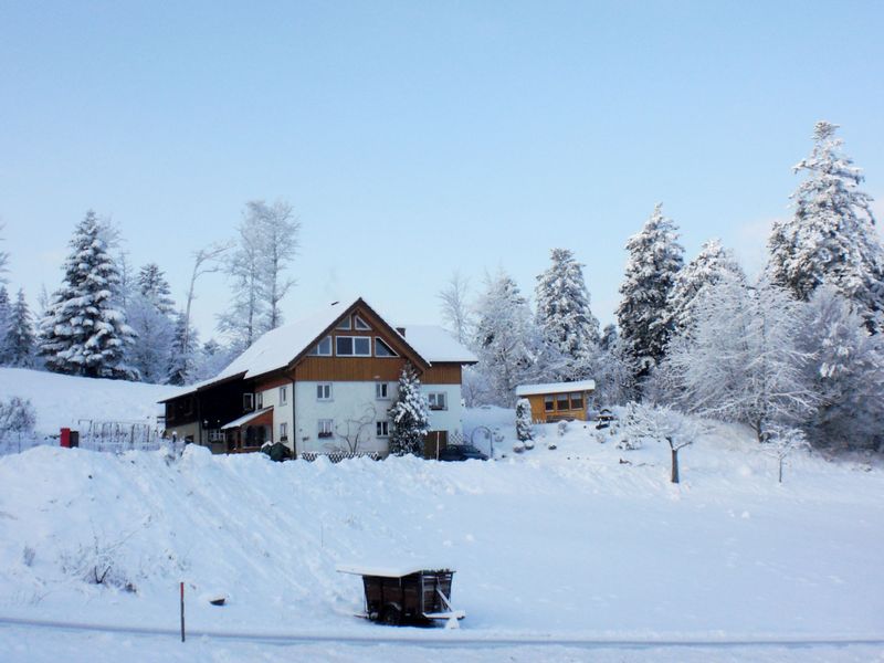 23846313-Ferienwohnung-4-Hinterzarten-800x600-0