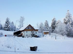 Ferienwohnung für 4 Personen (60 m&sup2;) in Hinterzarten