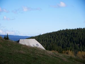 23481930-Ferienwohnung-2-Hinterzarten-300x225-5