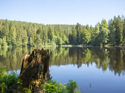 Mathisleweiher Hinterzarten