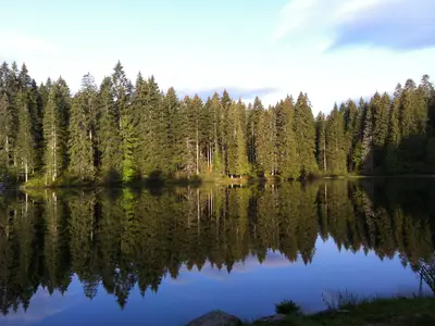 Der Hirschleweiher