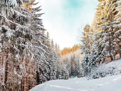 Winterlandschaft
