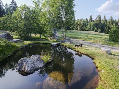 Weiher